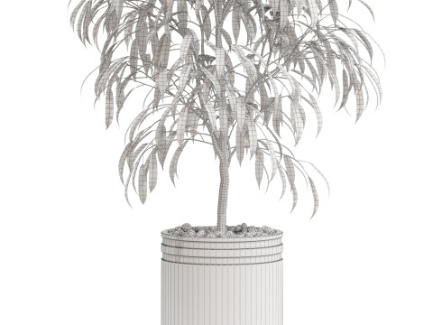 Plants collection 709 3D 모델