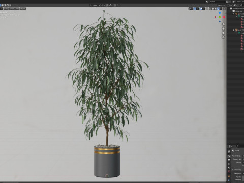 Plants collection 709 3D 모델