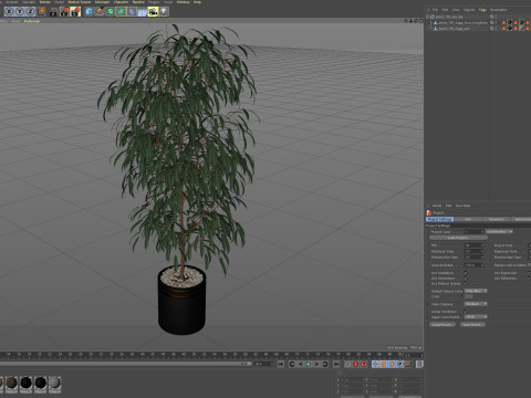Plants collection 709 3D 모델