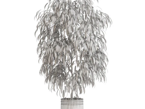 Plants collection 710 3D Model