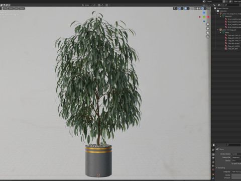 Plants collection 710 3D मॉडल