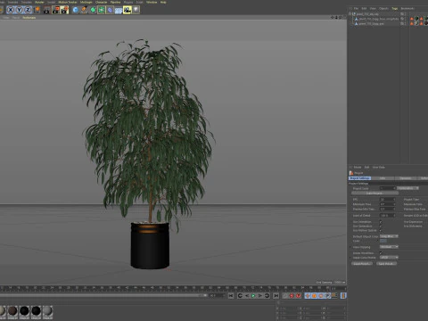 Plants collection 710 3D Model