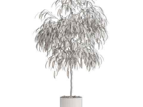 Plants collection 711 Modello 3D