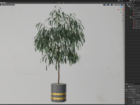 Plants collection 711 Modello 3D