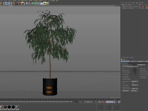 Plants collection 711 Modello 3D