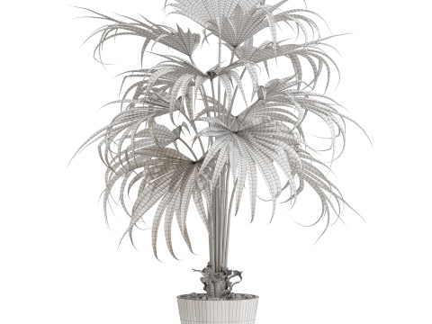 Plants collection 712 3D Model