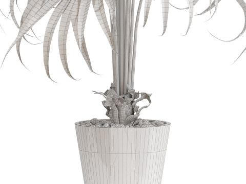 Plants collection 712 3D Model