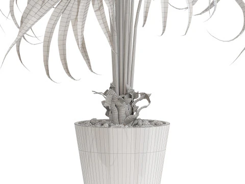 Plants collection 712 3D Model