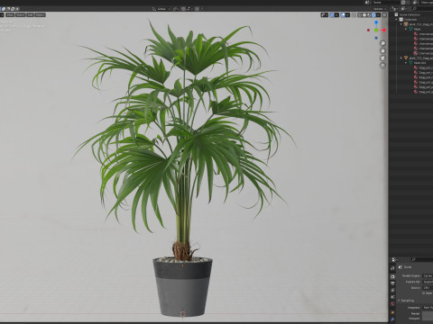 Plants collection 712 3D Model