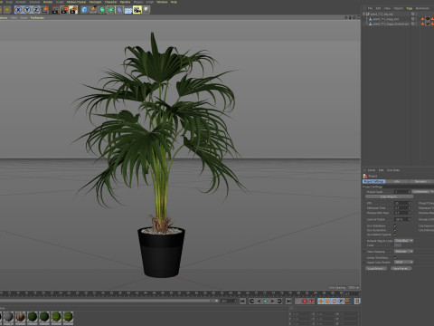 Plants collection 712 3D Model
