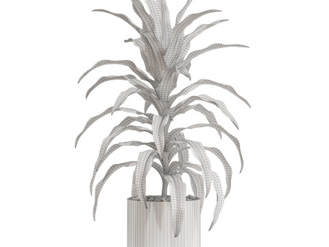 Plants collection 713 3D 모델
