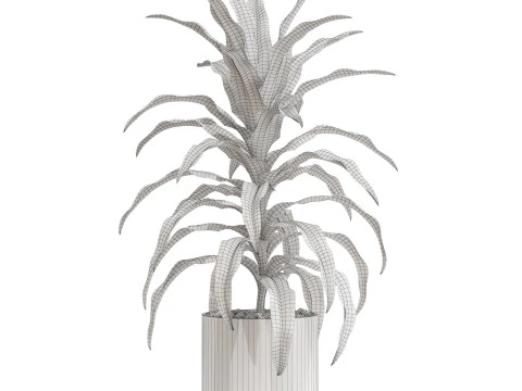 Plants collection 713 3D Model