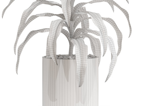 Plants collection 713 3D 모델