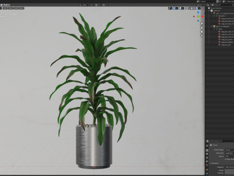 Plants collection 713 3D 모델