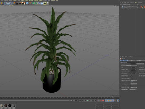 Plants collection 713 3D 모델