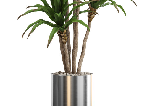 Plants collection 714 Model 3D