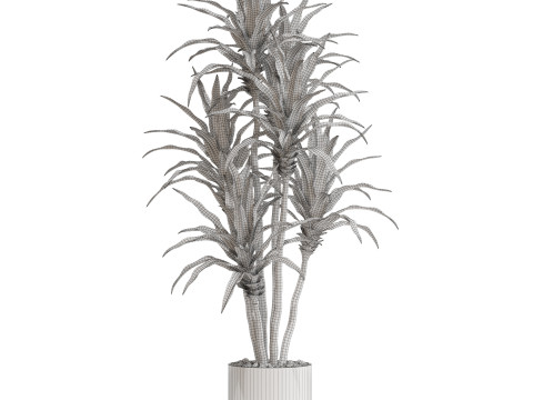 Plants collection 714 Model 3D