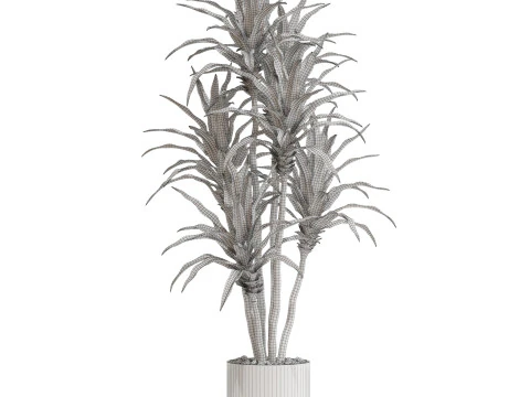 Plants collection 714 3D Model