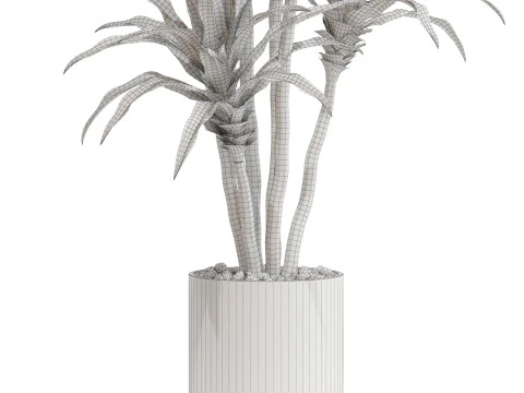 Plants collection 714 3D Model