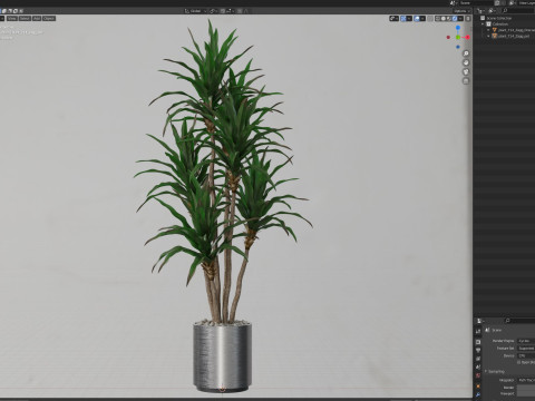 Plants collection 714 Model 3D
