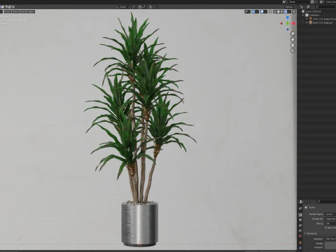 Plants collection 714 3D Model