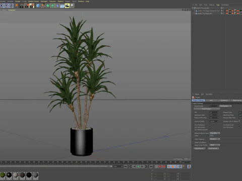 Plants collection 714 3D Model