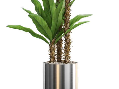 Plants collection 715 3D Model