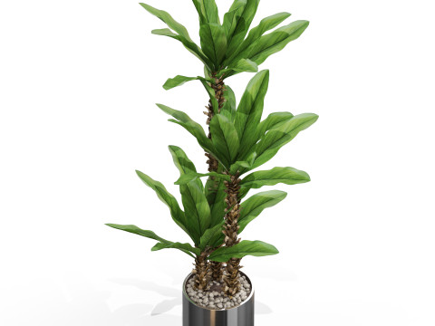 Plants collection 715 3D Модель