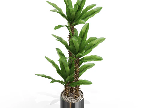 Plants collection 715 3D Model