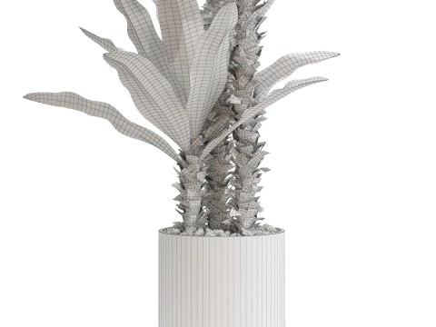 Plants collection 715 3D Model