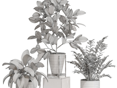 Plants collection 716 Modelo 3D