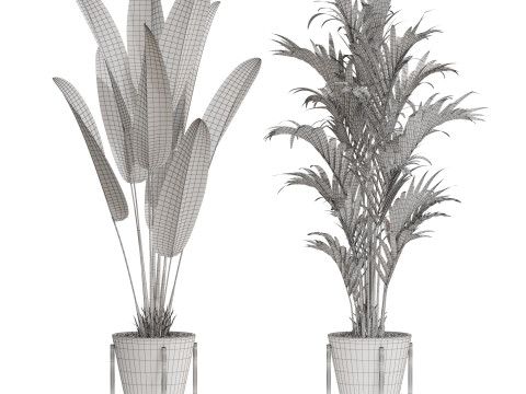 Plants collection 716 Modelo 3D