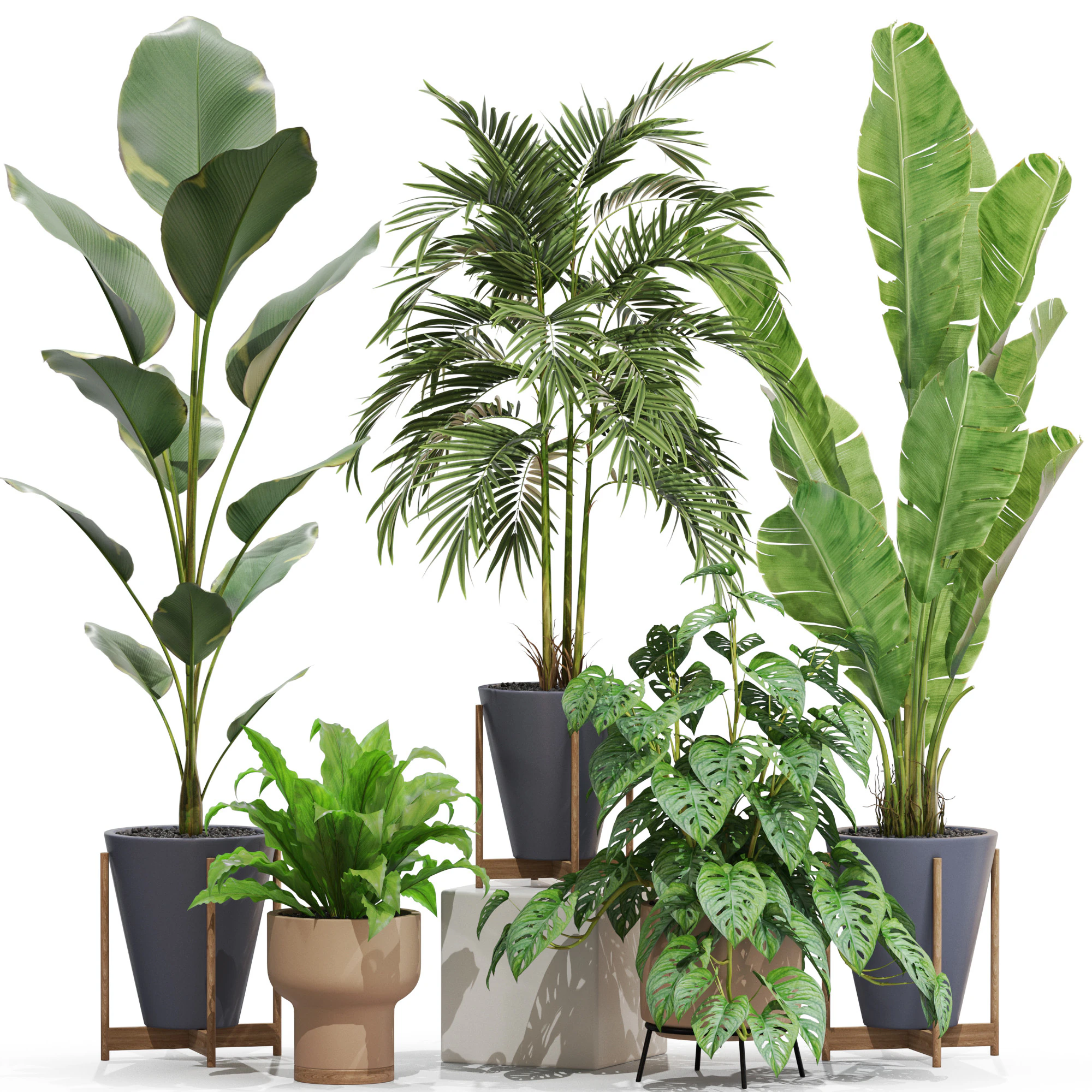 Plants collection 717 3D Model .c4d .max .obj .3ds .fbx .stl .blend 
