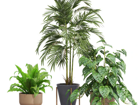 Plants collection 717 3D Model