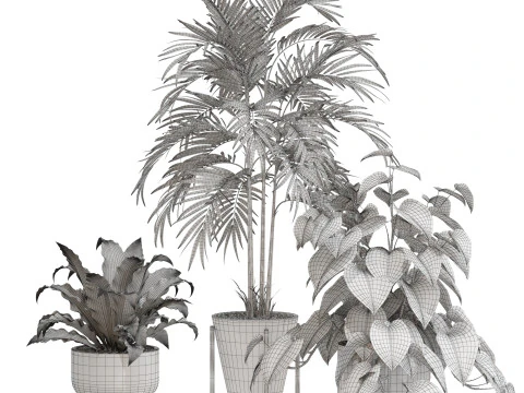 Plants collection 717 3D Model