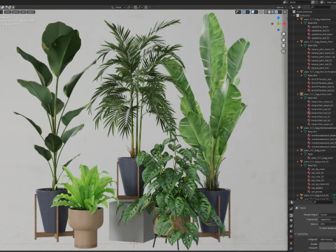 Plants collection 717 3D Model