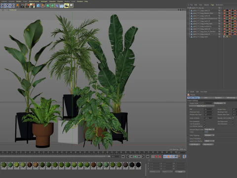Plants collection 717 3D Model