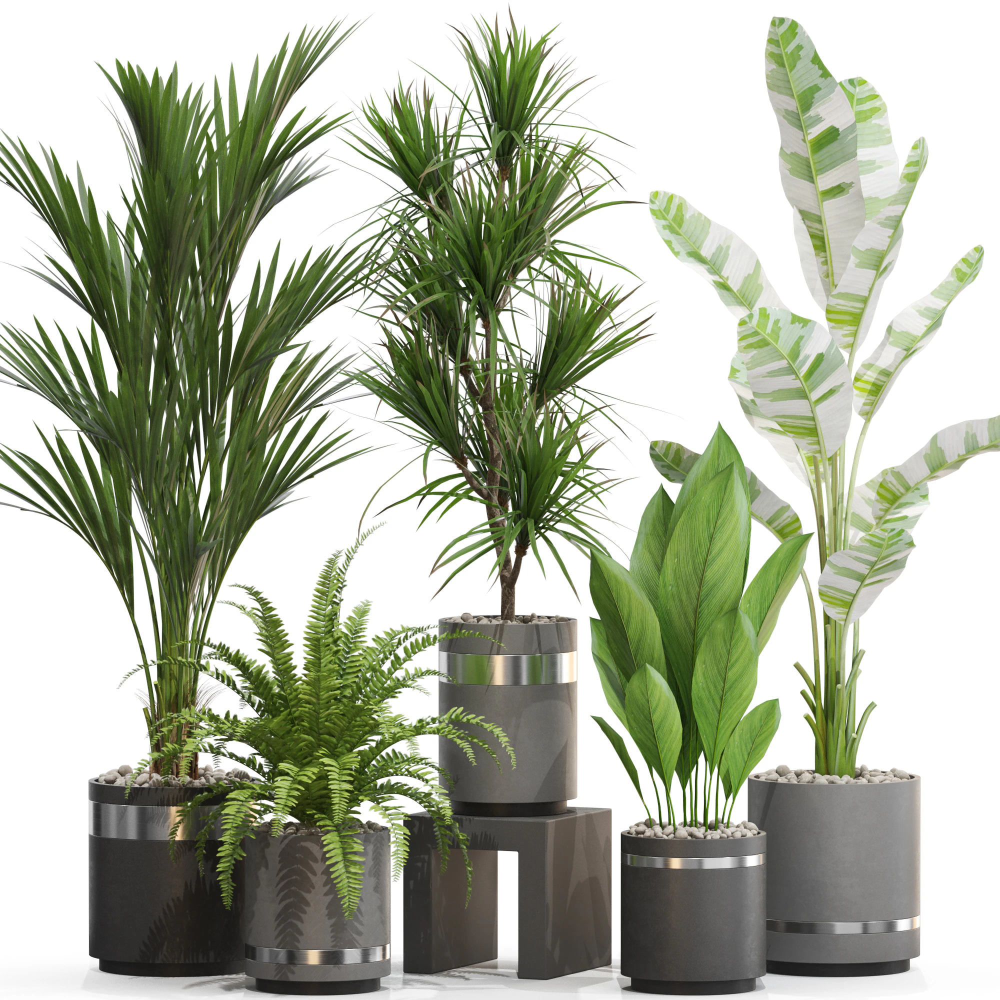 Colecci&oacute;n de plantas 718 Modelo 3D .c4d .max .obj .3ds .fbx .stl .blend 