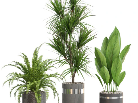 Colecci&oacute;n de plantas 718 Modelo 3D