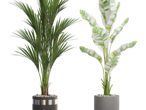 Colecci&oacute;n de plantas 718 Modelo 3D