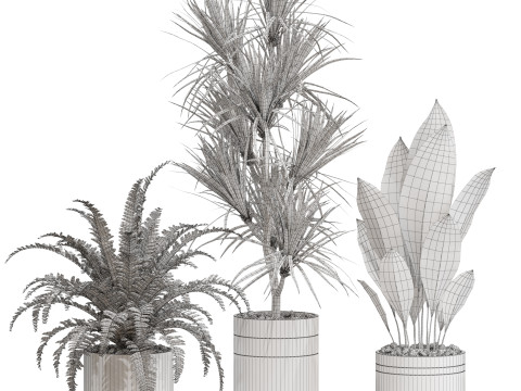 Plants collection 718 3Dモデル