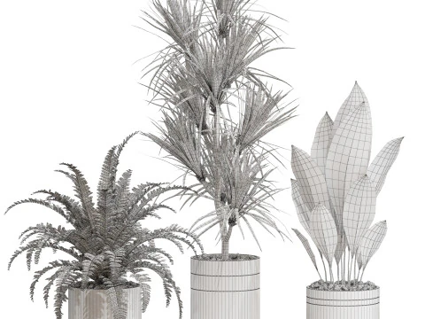 Colecci&oacute;n de plantas 718 Modelo 3D