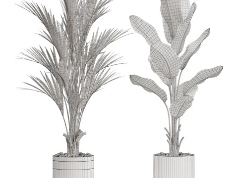 Colecci&oacute;n de plantas 718 Modelo 3D