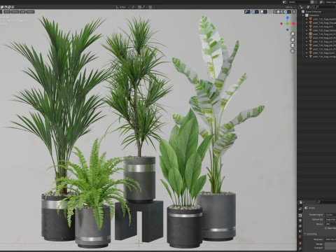 Plants collection 718 3Dモデル