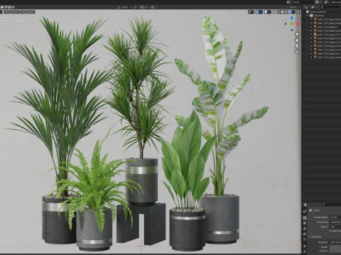 Colecci&oacute;n de plantas 718 Modelo 3D