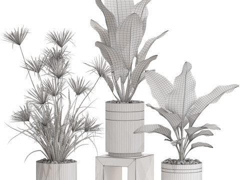 Plants collection 719 3D Model