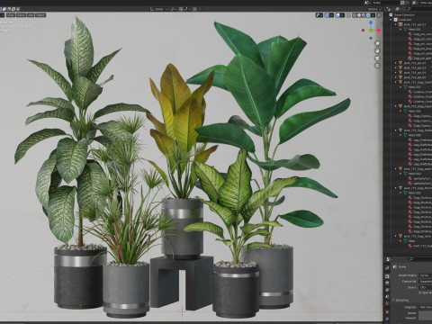 Plants collection 719 3D Model
