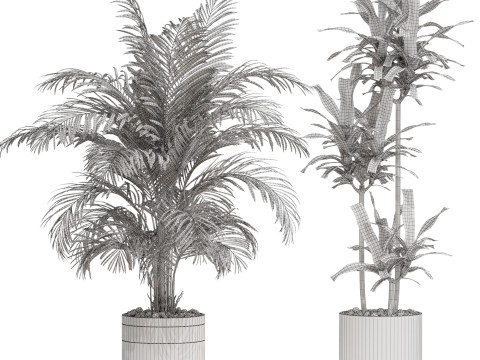 Plants collection 720 3D मॉडल