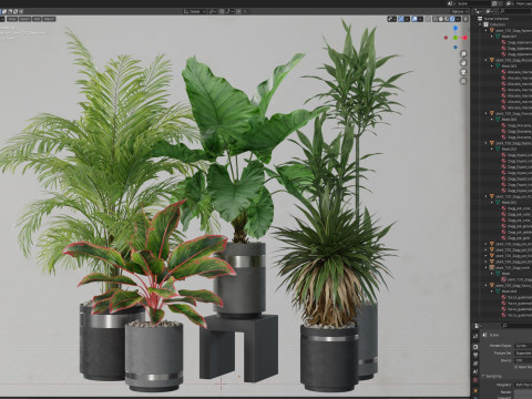 Plants collection 720 3D मॉडल