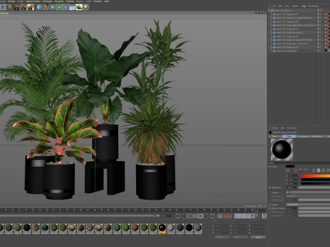 Plants collection 720 3D मॉडल